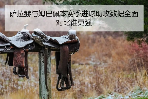 萨拉赫与姆巴佩本赛季进球助攻数据全面对比谁更强
